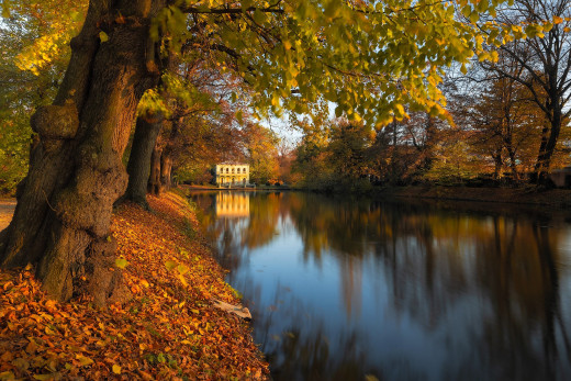 1752445 (a): :2159x1440